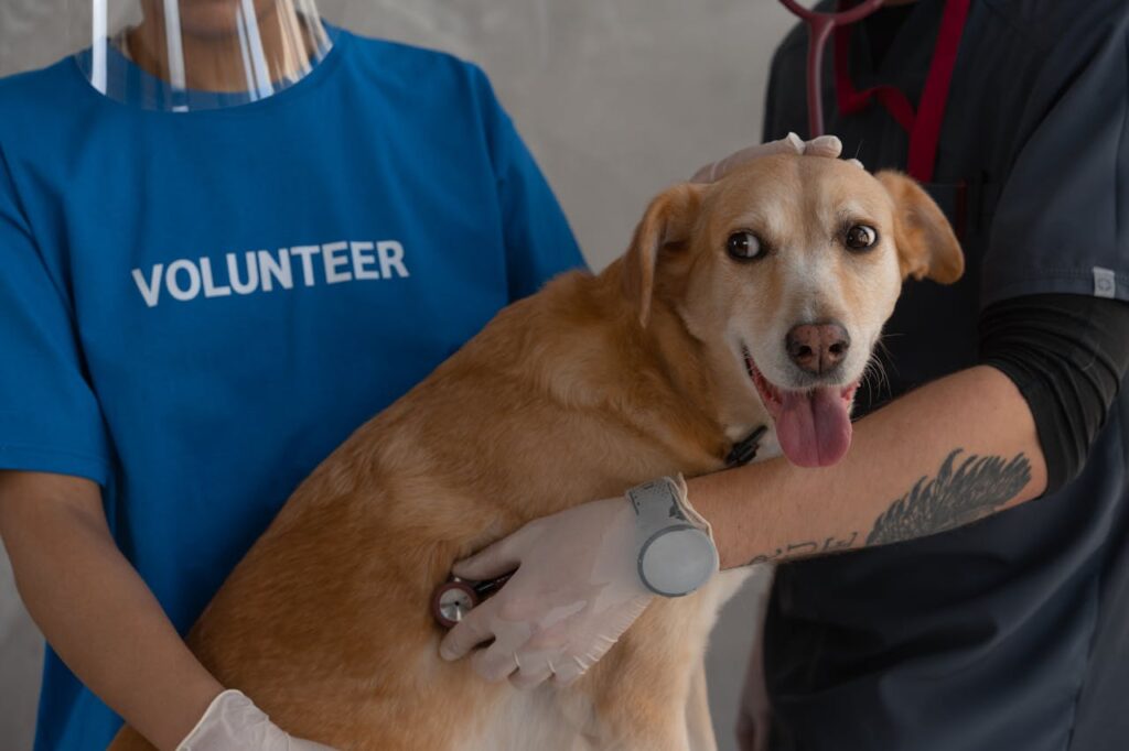 Vet Visits for Dog Behavior Training