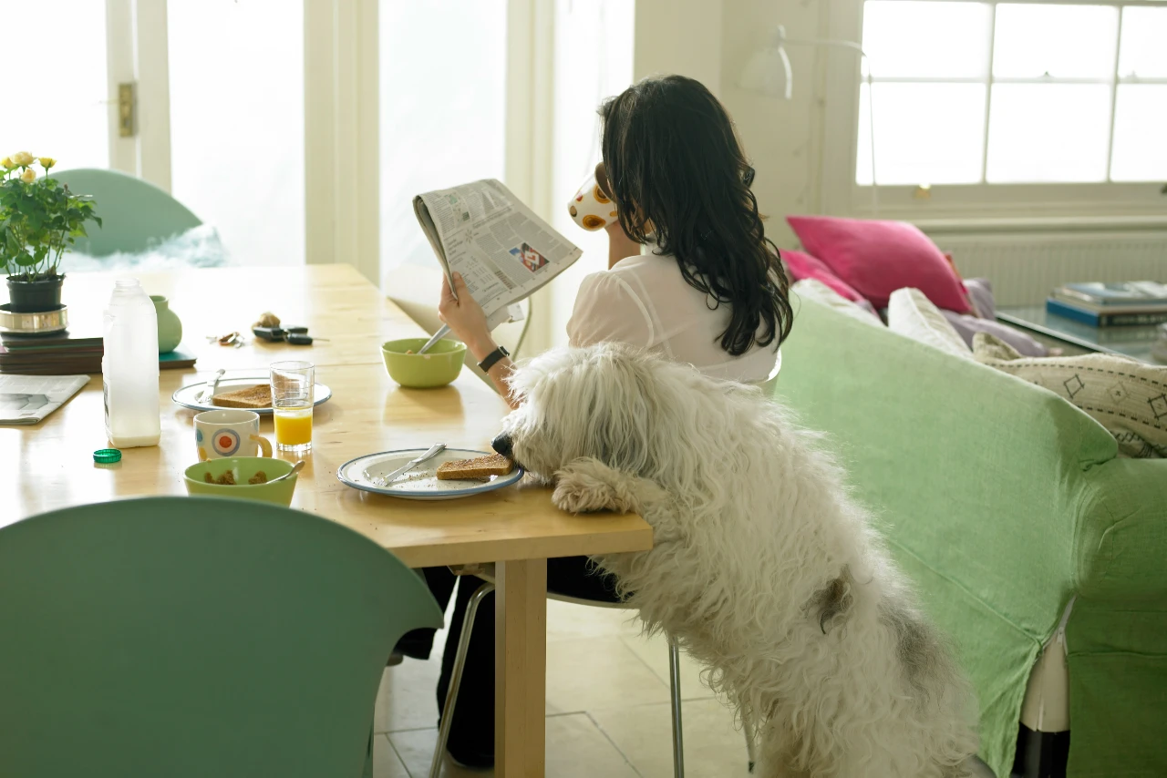 a woman sitting at a table with a dog